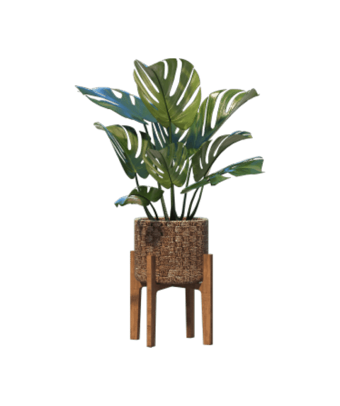 shop-bg-16